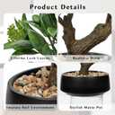 Artificial Bonsai Tree, Small Bay Laurel Bonsai Tree 13" Indoor Bonsai Tree Fake Potted Plant Decorative Fake Desk Plant Decor with Ceramic Pot for Home Office Living Room Bedroom Bathroom Table Shelf