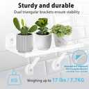 2 Pack 12 Inch Acrylic Window Boxes Plant Shelves, 6 Inch Extra-Wide Windowsill Extender – Features Suction Cups and Support Brackets for Succulents, Herbs, Seed Starting | Indoor/Outdoor Use, 12IN-2PC