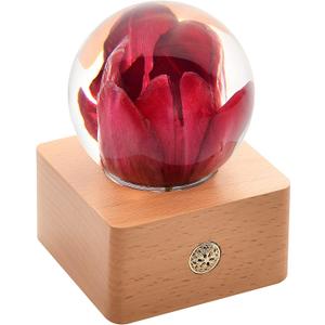 MISS LI GARDEN Forever Red Rose 3D Crystal Ball Best Gifts for Wife Girlfriend Women Anniversary Mother Birthday Valentines Day Home Decor