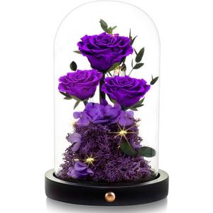 DENIMOMO Mothers Day Roses Gifts for Mom,Forever Purple Preserved Rose in Glass Dome,Mothers Day Real Flowers Roses Gifts for Wife Women Mom Grandma/Purple