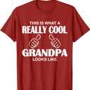 This Is What A Really Cool Grandpa Looks Like Funny T-Shirt T-Shirt L