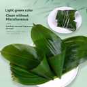 fresh banana leaves(100 pcs, 13"" L x 3.2"" W) Fresh Banana Leaves for Cooking bamboo leaves suit Sushi making, Zongzi, Chinese dinner, hot pot leaf decoration, Green