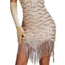 Women's 1920s Flapper Sequin Dress for Great Gatsby Theme Party Dress With Roaring 20s Accessories Set for Party, M