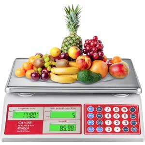 CAMRY Digital Price Computing Scale 66lb/30kg Commercial Produce Scale with Stainless Steel Platform and Green Backlight LCD Display for Meat, Fruit, Ideal for Deli, Farmers Markets, Restaurants