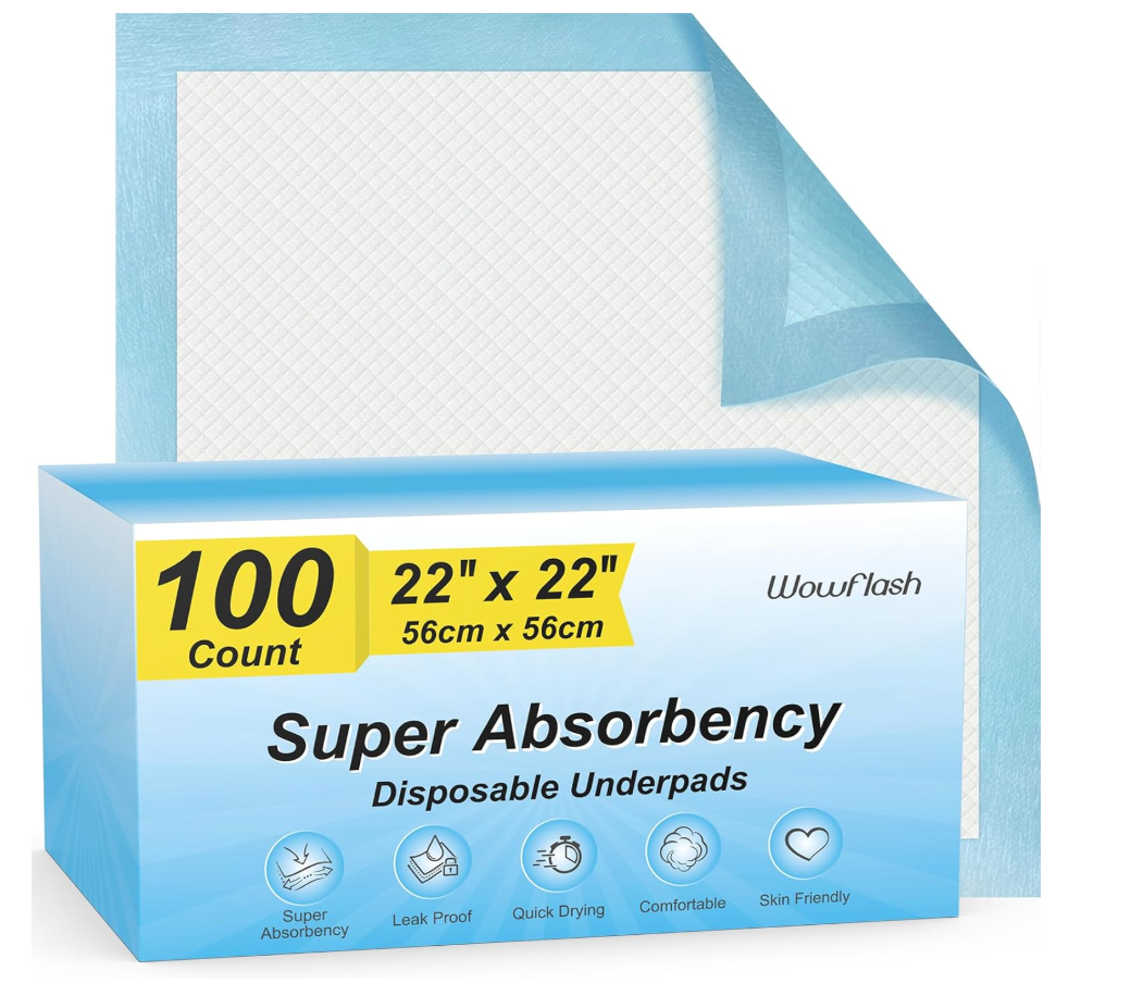 Basics LeakProof Dog and Puppy Potty Training Pee Pads with QuickDry 5Layer Super Absorbent Design, Regular Size 22 x 22 inch, Blue & White, 100 Count