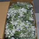 Lyrow 6 Pieces Artificial Baby Breath Flower Vines 5.9ft Faux Hanging Gypsophila Greenery Garland Vines Fake Bulk Baby Breath Garland for Wedding Party Table Home Backdrop Wall Decor (White)