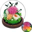 Mothers Day Flowers Gifts for Mom,Preserved Rose Carnation Flowers Gifts for Women, Real Flowers Bouquet in Glass Dome with Light, Birthday Gifts for Mom Wife Mothers Day Anniversary