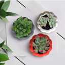 Ceramic Miniature Pumpkin Succulent Pots,Cute Halloween Decorations,Mini Pumpkin Decor Planters,Thanksgiving Decoration,Set of 3 Indoor/Outdoor Flower Pot,Fall Planter