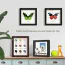 FrameWorks 11x14 Driftwood Wooden Shadow Box Frame  Soft Felt Back, Tempered Glass, and Included Elegant White Ball Push Pins (Natural)