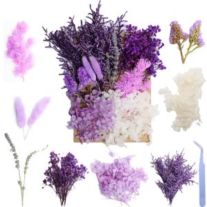 Real Dried Flowers, Natural Dry Flowers,Mixed Natural Pressed Dried Flowers,Real Dry Florals for Resin Crafts, Candle Making, DIY Art Projects(Purple)