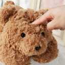 Large Weighted Teddy Bear Stuffed Animal 27.5" 5.5Lbs, Sturdy and Fluffy Brown Bear Plush Toy for Adutls Cuddle, Cute Plushy Hugging Pillow Toy for Adutls