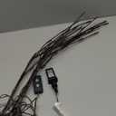 PEIDUO Lighted Branch, 30Inch 2PK 40 LED Pathway Lights, Battery Operate with Timer, for Christmas Decorations Indoor Outdoor Room Apartment Stake Lights for Lawn