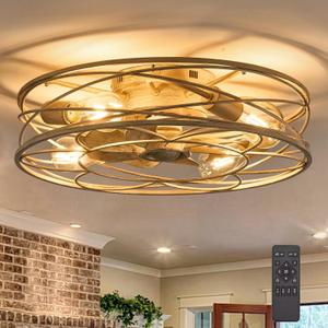 20 Inch Low Profile Caged Ceiling Fan with Light and Remote, Flush Mount, Noiseless DC Motor, Reversible, 6 Speed with Timer, Rustic Bladeless Cage Design for Bedroom Kitchen Dining Room (White Brush Gold)