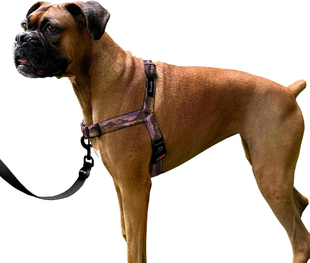 ShawnCo Dream Walk No-Pull Dog Harness- Adjustable, Comfortable, Easy to Use Pet Halter to Help Stop Pulling for Small, Medium and Large Dogs- Art Pattern Designs (Montana Daydream, M)