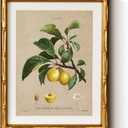 InSimSea Gold Bamboo Framed Canvas Wall Art, Retro Nature Plum Botanical Paintings, Antique Vintage Picture Frame with Mat, Victorian Home Wall Decor for Living Room Kitchen Dining, 11x14inch