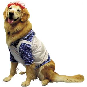 Halloween FX Raggedy Ann Pet Costume Medium