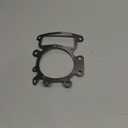 Stens Head Gasket Compatible with/Replacement for Briggs & Stratton 311707, 31A507, 31A607, 31A677 Engines 796584, 699168