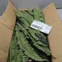 Giant Artificial Boston Ferns for Outdoors Large UV Resistant LifeLike Faux Fern, Realistic Silk Greenery plants large Office, Home Decor, 2pack 88 Branches, 48 Inch fake fern Leaf Green. No Base