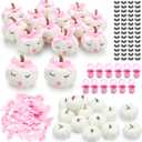 Nuanchu 12 Sets Baby Shower Favors DIY Pumpkin Painting Kit for Baby Shower Game 12 Foam Craft Pumpkins, 12 Pink Bows 12 Pink Pacifiers 28 Pairs of Eyelash Sticker for Birthday Table Decor
