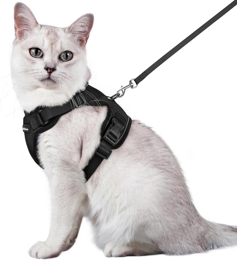 rabbitgoo Cat Harness and Leash for Walking, Escape Proof Soft Adjustable Vest Harnesses for Cats, Easy Control Breathable Reflective Strips Jacket, Black, M rabbitgoo Cat Harness and Leash for Walking, Escape Proof Soft Adjustable Vest Harnesses for Cats, Easy Control Breathable Reflective Strips Jacket, Black, M
