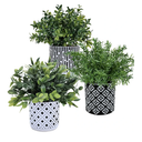 Winlyn 3-Pack Artificial Potted Plants - Faux Eucalyptus, Rosemary, Boxwood Greenery in Small Black & White Geometric Concrete Pots -Desk, Table, Shelf, Windowsill Decor for Indoor Outdoor Home Office