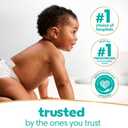 2 x Pampers Baby Wipes, Sensitive, Water Based Wipe, Clinically Proven, Hypoallergenic, and Unscented for Babies, 336 Wipes Total (4 Flip-Top Packs)