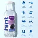 Hint Fruit-Infused Bottled Water, Blackberry - Sugar Free Flavored Water with Zero Calories, Natural Fruit Essences, and No Artificial Sweeteners - 16 Fl Oz (Pack of 12)