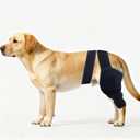 Dog Knee Brace for Torn ACL Hind Leg - Orthopedic Rear Leg Wrap with Metal Stabilizers for Support, for Small Medium Large Dogs, for Arthritis, Luxating Patella, and Joint Injury Recovery (M)