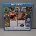 Baby Animals Photo 2026 Wall Calendar