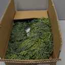 24 Inch Christmas Wreaths for Front Door Real Touch Cedar Wreath Artificial Green Wreath for Wall Windows Indoor Outdoor Christmas Decor