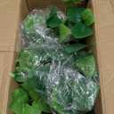 Waipfaru 4Pcs Fake Hanging Plants 2.7ft Fake Plants Eucalyptus Leaves UV Resistant Fake Vines Ivy Artificial Plants Outdoor Faux Plants Indoor Bedroom Living Room Boho Wall Porch Shelf Decor