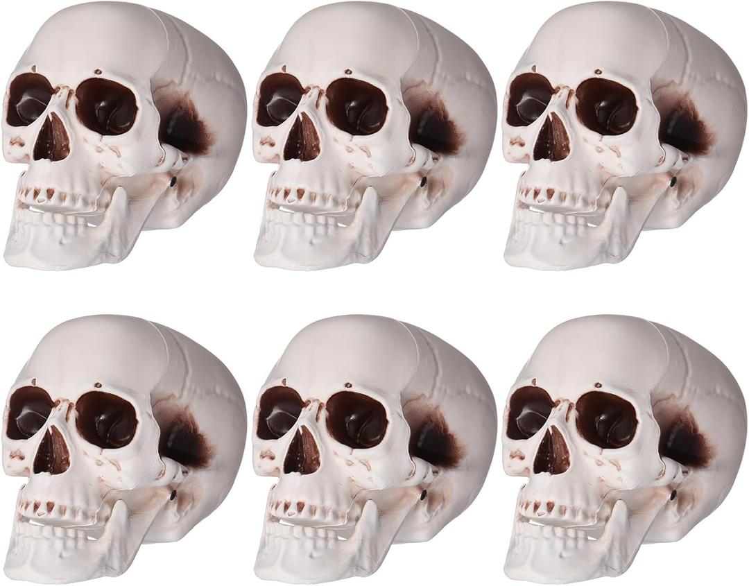 Sratte 6 Pcs Halloween Human Skull Model Adult Plastic Skull Decor Fake Head Decorations Realistic Head Bone Model Human Skeleton Statue (8 Inch)
