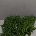 6FT Christmas Garland Set of 2  Lifelike Norfolk Pine Garland for Holiday Decor, Perfect for Mantels, Staircases, Doorways, Indoor/Outdoor Decorations