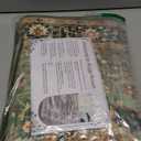 Green Runner Rugs for Hallway 2x6 Ft Non-Slip Fall Runner Rugs with Rubber Backing Washable Rug Runner for Kitchen Bedroom Vintage Distressed Carpet (Border Green)