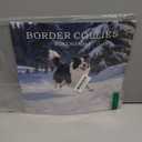 2026 Wall Calendar, Calendar 2026, Border Collies Monthly Wall Calendar (Jan 2026 - Dec 2026) 12" x 24" Opened, Hanging Calendar Thick Paper for Family Adults Kids Office Home