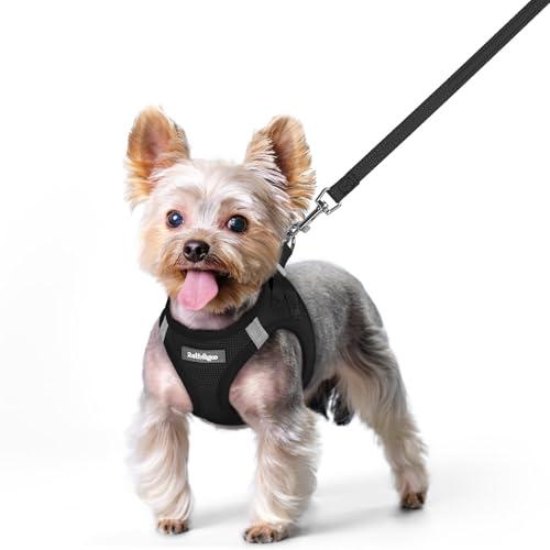 rabbitgoo Dog Harness Small Sized and Leash Set, Step in Soft Light Puppy Vest, Breathable Mesh Pet Harness, Reflective for Safe Easy Walking, (Black ,XS)