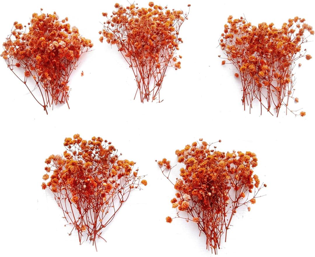 50 pcs Mini Dried Orange Baby Breath Flower Dried Flower for Crafts Press Flowers Wedding Wreath Decoration Gift Card Decor Floral