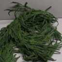 9FT Christmas Garland Norfolk Pine Garland Real Touch Artificial Greenery Garland for Mantle Fireplace Table Indoor Outdoor Holiday Decortions (Dark Green)