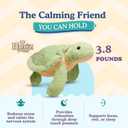 Hugz Official Shelly The Turtle - Premium Weighted Stuffed Animal Plushie 3.8 lb for Adults & Kids - Microwavable Heatable & Coolable Super Soft Fur Gift Ready Tube Packaging