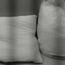 MIULEE Throw Pillows Inserts, Pack of 2 18x18 Inch 100% Virgin Fiber Filling Bed Couch Pillows