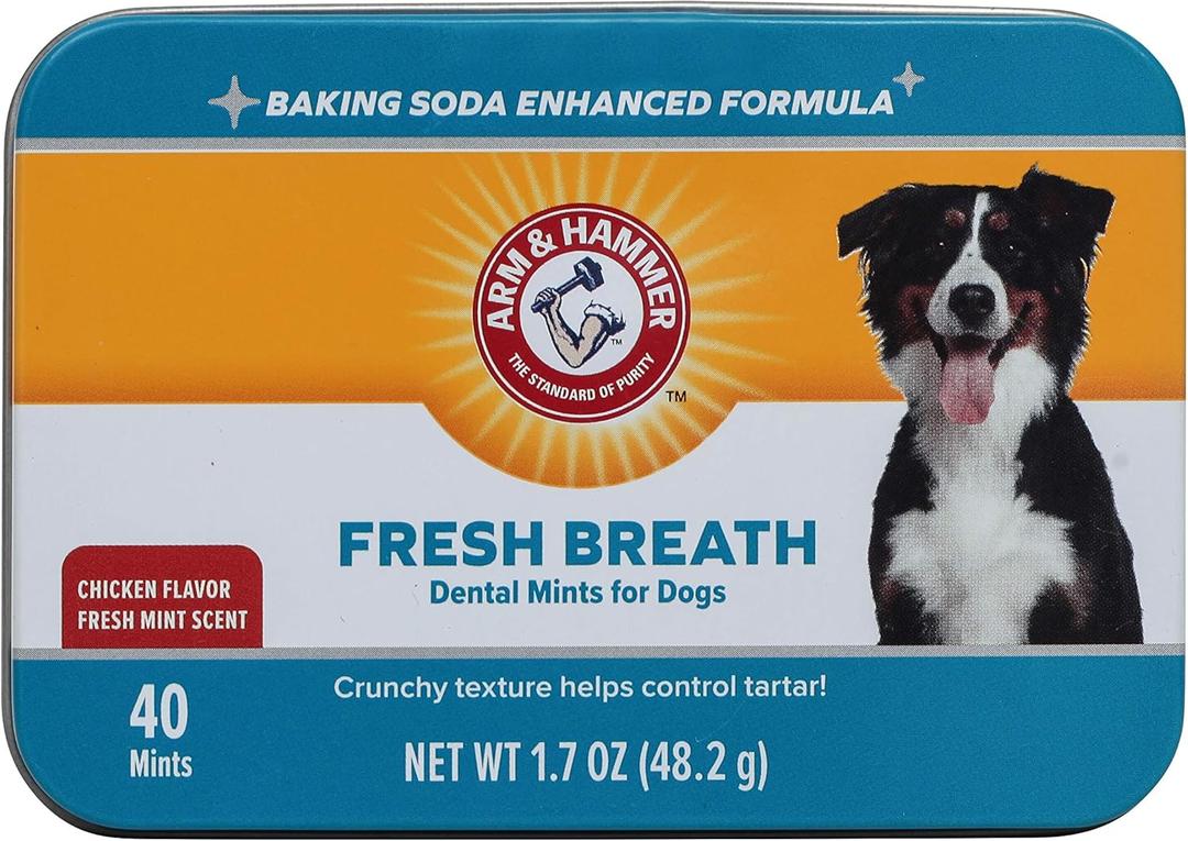 Arm & Hammer for Pets Dental Mints for Dogs, Fresh Breath | Get Fresh Doggie Breath Without Brushing, Way to Fresher Dog Breath | Chicken Flavor, 40 Count (Packaging may vary) (1.7 Ounce (Pack of 1)), EXP 27 02 05