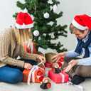 2 Pcs Christmas Santa Claus Bubble Machine Automatic Blowing Machine Santa Blower with Music Flashing Lights for Xmas Gift Indoor Outdoor Activity(Red)