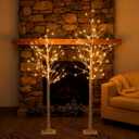Set of 2 Lighted Birch Tree, Prelit White Christmas Tree Plug in, Light Up Artificial Trees with Dimmable & Timer, 8 Modes Remote Twinkling Twig Trees with LED Lights for Outdoor Indoor Decor 5FT 6FT