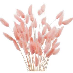 Uieke 17 Natural Bunny Tails Dried Flowers, 50 Pcs Dried Lagurus Ovatus, Dried Pink Pampas Grass Decor for Farmhouse Flower Arrangements Wedding Home Boho Party Decorations