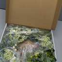 AMF0RESJ Green Eucalyptus Wreaths for Front Door Spring Summer Wreath with Eucalyptus Leaves,Olives Leaves,Mixed Berry for Indoor Outdoor Farmhouse Home Porch Wall Window Festival Wedding Decor