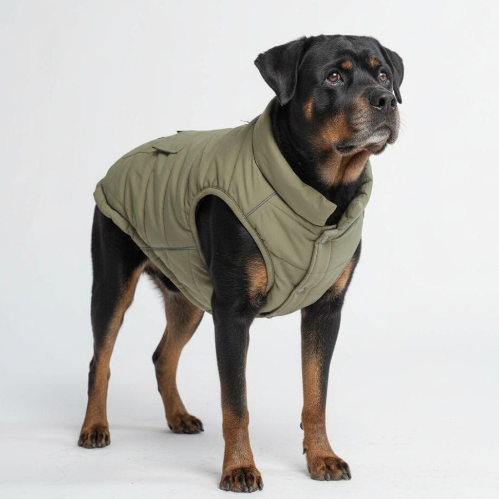 Spark Paws Dog Winter Jacket, Water-Resistant Coat, Warm Reflective Windproof Fleece-Interior, for Medium and Large Dogs - Olive - 4XL (4XL: 80-115lbs)