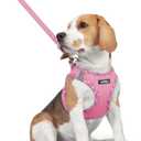 rabbitgoo Dog Harness Small Medium Sized and Leash Set, Step in Soft Light Puppy Vest, Breathable Mesh Pet Harness, Reflective for Safe Easy Walking, Pink & Plaid Trim L (L (Chest: 18.2 - 20.5"))