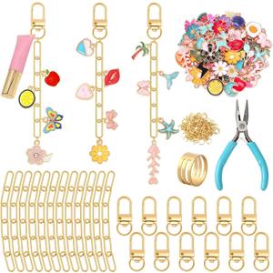 AUGSUN 189Pcs Keychain Making Kit, Charm Jewelry Chain Making Crafts Including 60 Charms 12 Keychain Clips Hooks 15 Extender Chains 100 Jump Ring and Jewelry Plier for Crafts Accessories