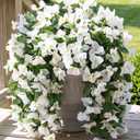 Faux Bougainvillea Artificial Flowers for Outdoors Fake Plants Outside Decoration, 2 PCS White Faux Flowers UV Resistant Look Real Silk Long Trailing Vines for Front Door Porch Planter Patio Garden