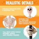 JOYIN 5FT Halloween Skeleton Decor with Movable Finger, Posable Life Size Skeleton, Full Body Realistic Bone with Poseable Joint, Giant Skeletons Halloween Decoration for Haunted House, Spooky Party